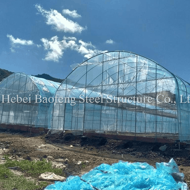 Steel Greenhouse