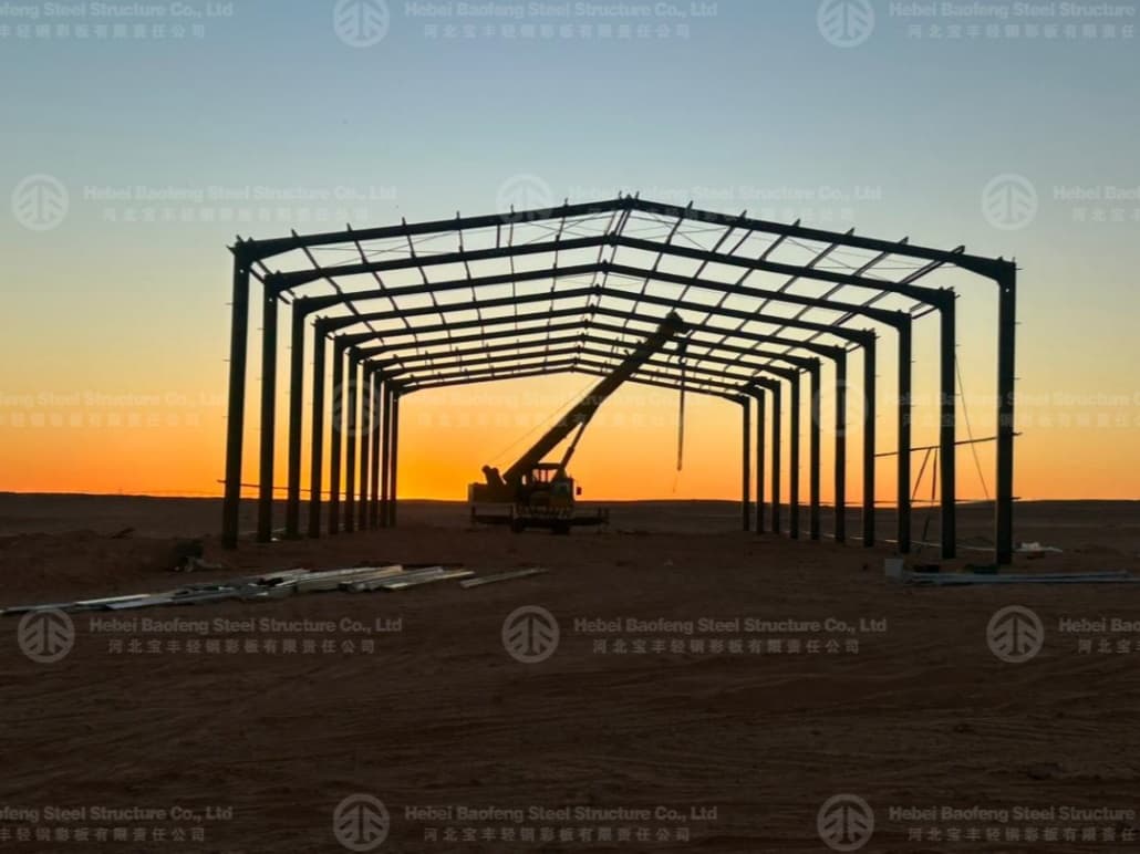 Steel Structure Manufacturer Exports Steel Warehouse to Algeria